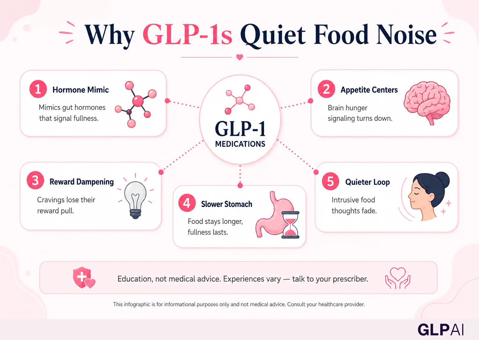 Why GLP-1s quiet food noise — five mechanisms from hormone signaling to a quieter thought loop